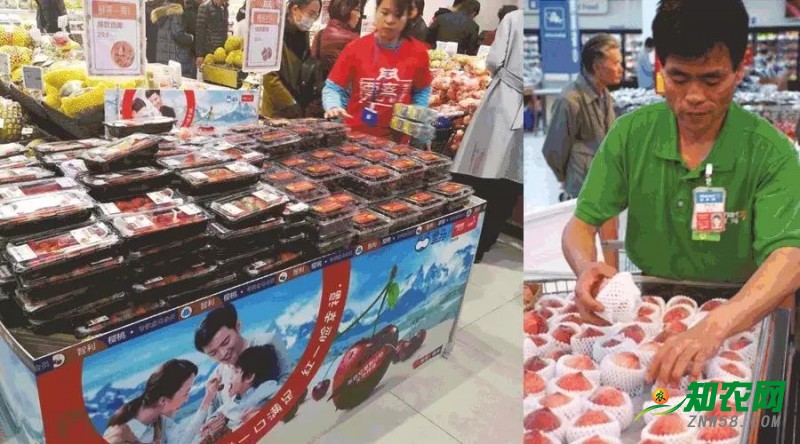 狗年春節(jié)市場(chǎng)前瞻：進(jìn)口水果期待更長(zhǎng)銷售期