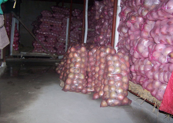 瑞雪兆豐年 水果市場漲跌并存整體平穩