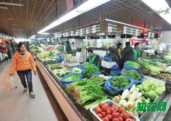 受春節影響 蔬菜價格穩中有增