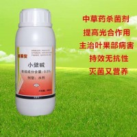 柑橘潰瘍病怎么防治，有何妙招，怎么用藥