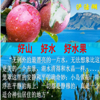 大涼山原生態冰糖心丑蘋果高原蘋果鹽源蘋果