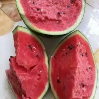 山東省西瓜  泗水縣西瓜批發，泗水西瓜價格