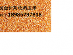 大量求購(gòu)玉米，大豆，棉粕，豆粕，高粱