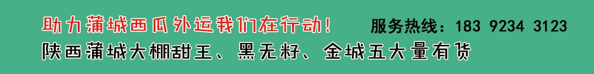 助力蒲城西瓜外銷！！！