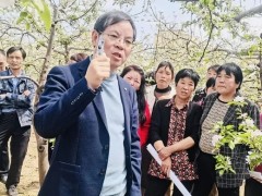 蘋果遭遇冰雹襲擊？做好這五項措施有助于減少損失