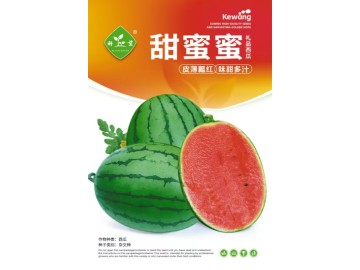 2026高端優質西甜瓜品種火爆熱銷